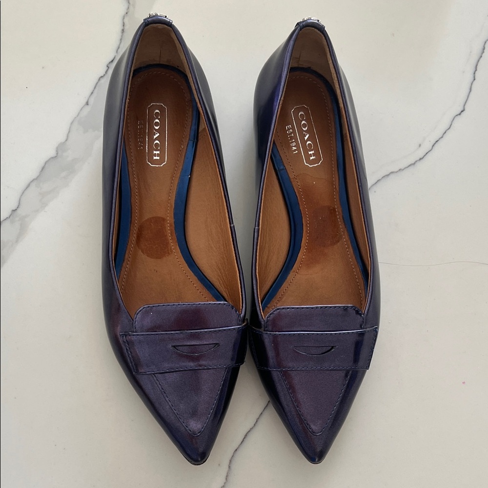 Coach Women's Dark Blue Pointed Loafers
